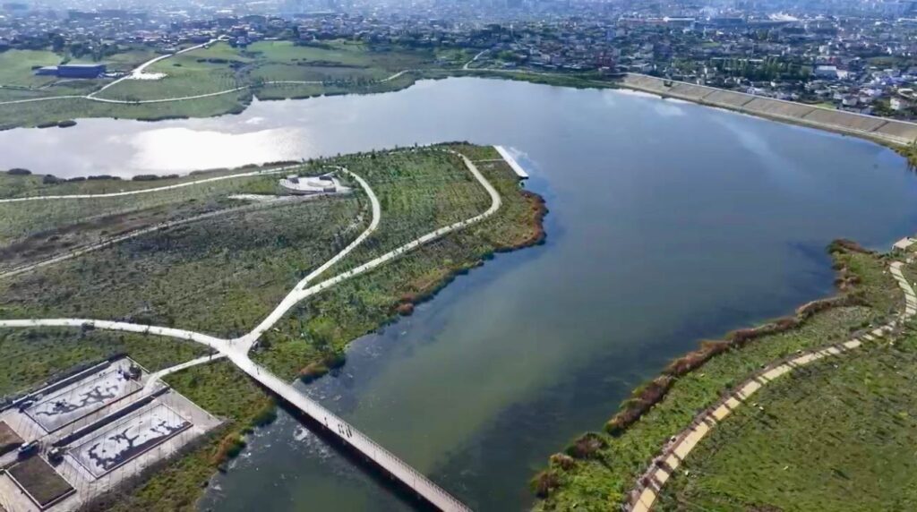 Ekipet e Ndërmarrjeve të Parkut dhe Gjelbërimit po marrin masat për mbjelljen e pemëve më 5 nëntor në Liqenin e Paskuqanit